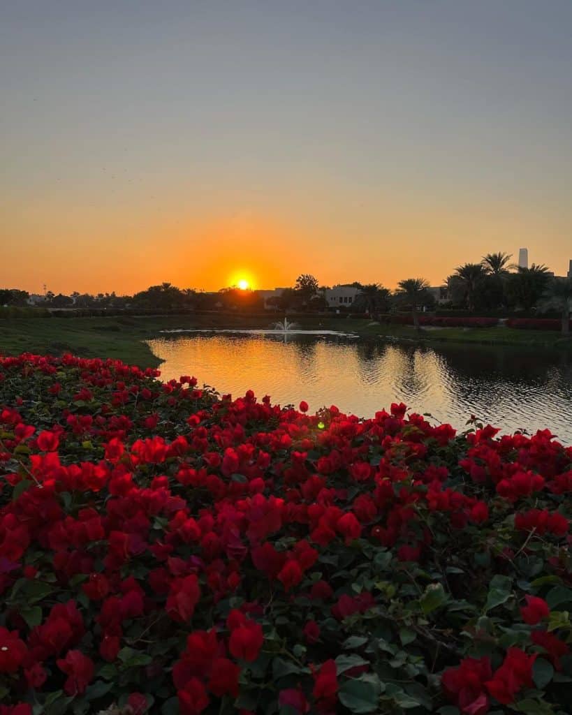 meadows Emirates hills Springs walk in Dubai