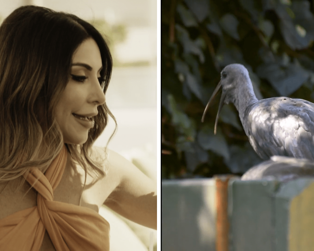 Real Housewives of Dubai Taleen Marie