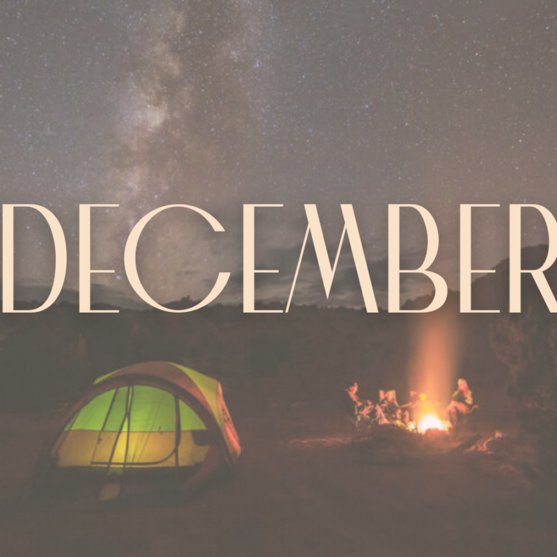 How I got my job…as the founder of Goou