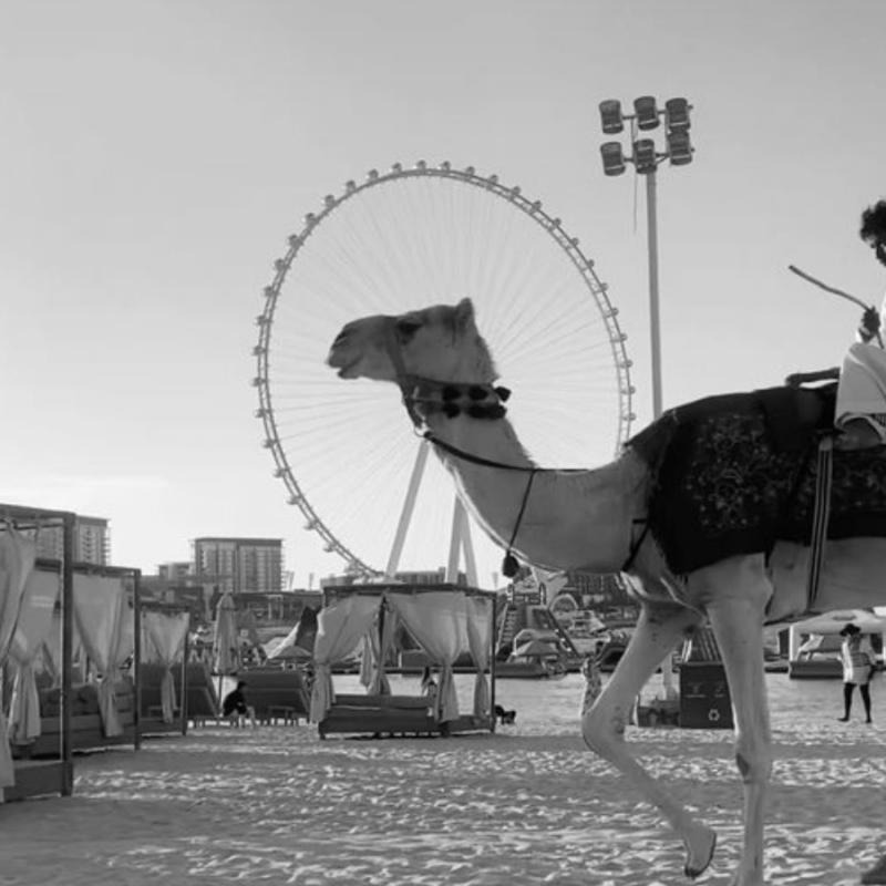 How I got my job…as the founder of Wishtok